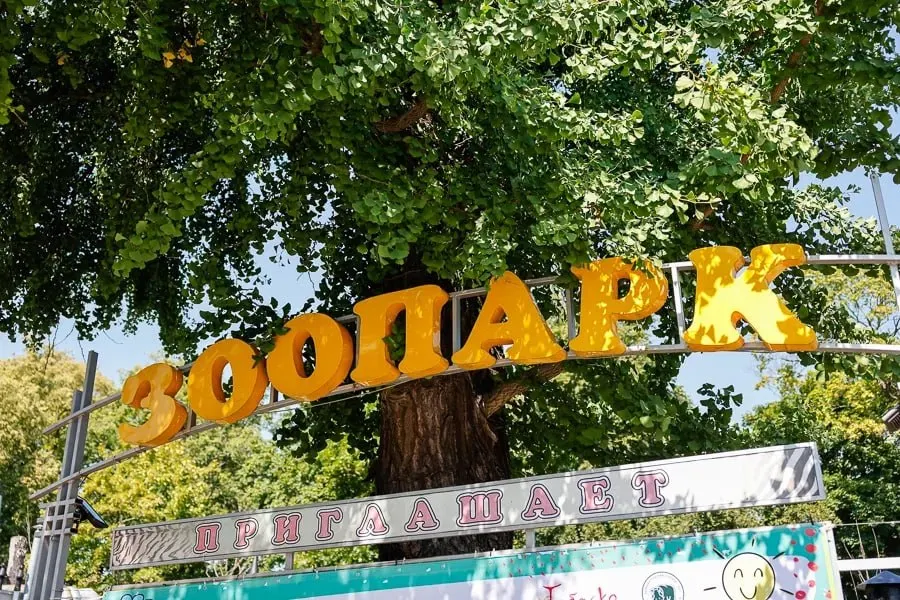 23 мая в 14:00 Калининградский зоопарк проведёт большой семейный праздник: концерт симфонического оркестра, ретро-ярмарка, приём макулатуры и уличные игры для всех возрастов (0+).