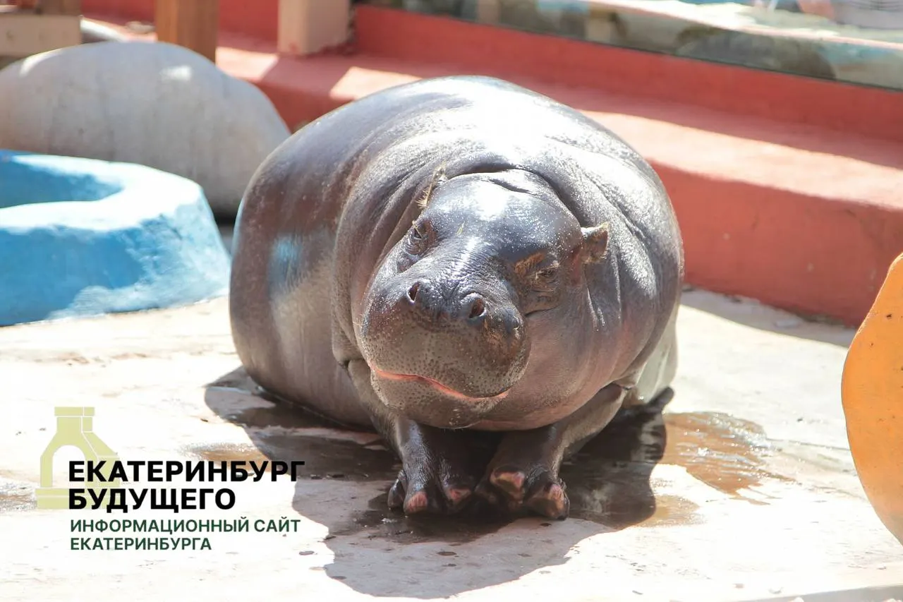 Город обязали предоставлять здания и помещения, находящиеся в ведении департамента культуры, военным комиссариатам без торгов и оплаты в случае мобилизации или военного положения.