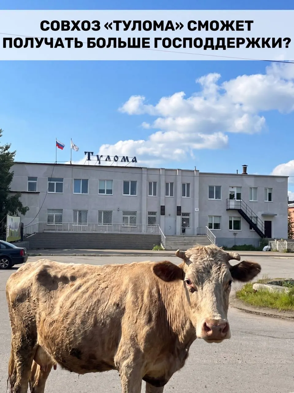 Минсельхоз расширил критерии субсидирования молочных предприятий: теперь помощь доступна и хозяйствам с государственной или муниципальной долей более 25%. В регионе это затронет многих производителей, но у отдельных ферм — серьёзные проблемы.