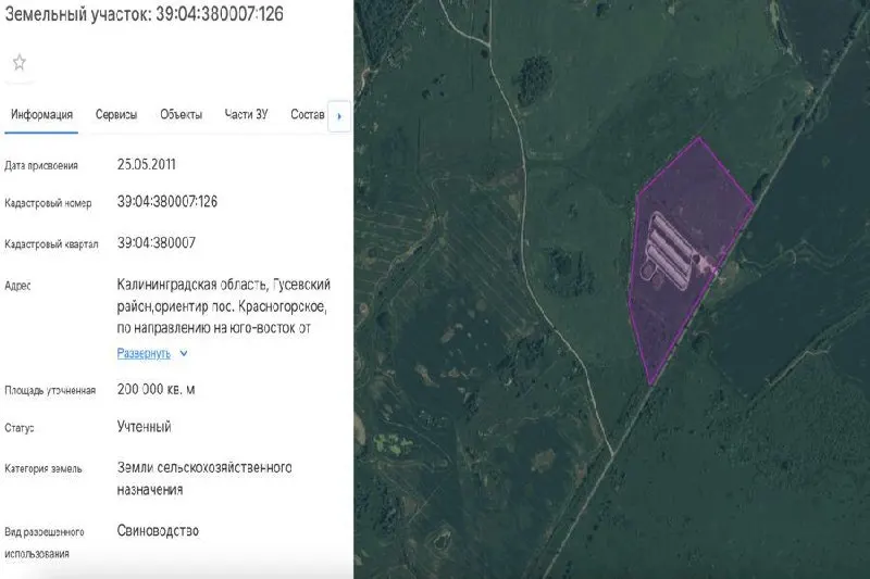 В Калининградской области выдали разрешение на строительство откормочника мощностью 4 000 голов рядом с посёлком Красногорское; объект оформлен на ООО «Прибалтийская мясная компания три».