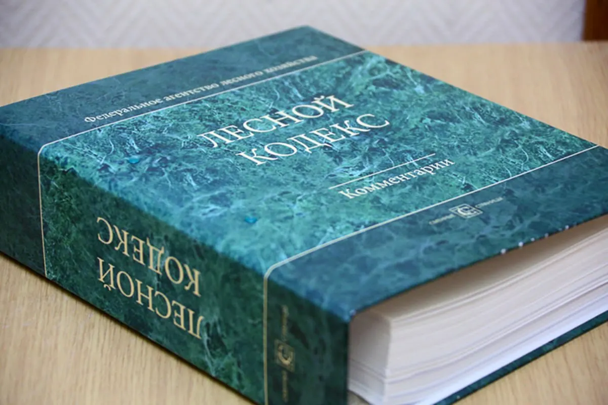С 2006 года в кодекс внесли 79 комплектов поправок: документ фактически стал новым. Эксперт по лесному хозяйству считает, что нормативы устарели и требуют радикального упрощения.