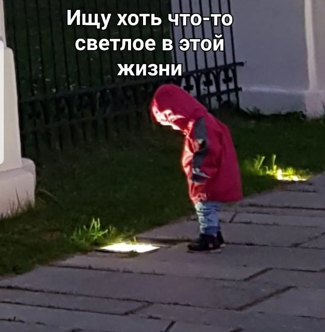 Депутаты предупреждают о росте схем с фальшивыми гостиницами, лагерями и турфирмами; предлагают создать единый информационный портал туризма и дают простые рекомендации, как не стать жертвой.