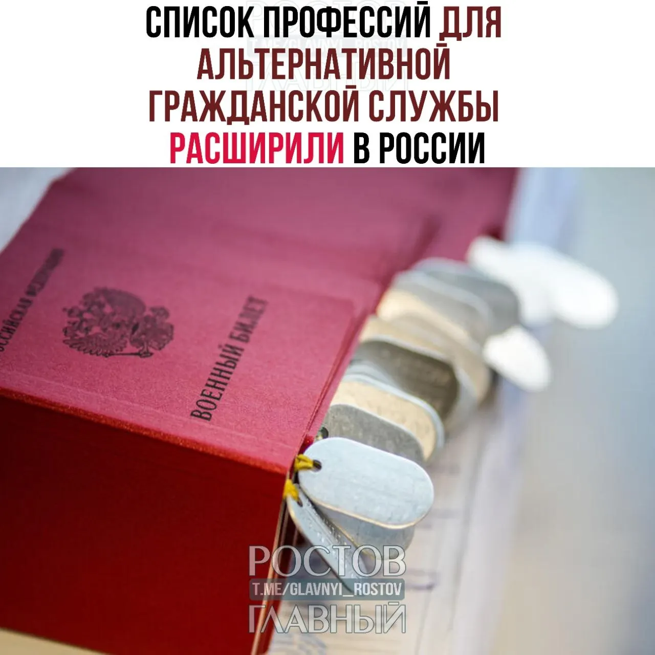 В перечень добавлены новые специальности — от водолазов и врачей до мастеров по настройке пианино и технических специалистов. Ранее список насчитывал 271 направление.