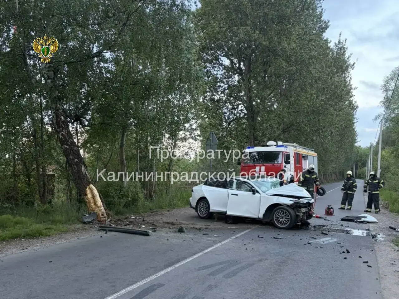 В Светлом 34‑летний водитель на «Чангане» врезался в придорожное дерево: водитель и 37‑летняя пассажирка погибли, ещё один пассажир госпитализирован. Прокуратура города контролирует проверку.