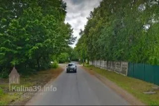 На участке улицы Коммунистической планируют вырубить 28 взрослых деревьев для прокладки тротуара; взамен обещают высадить 22 липы и один куст форзиции.