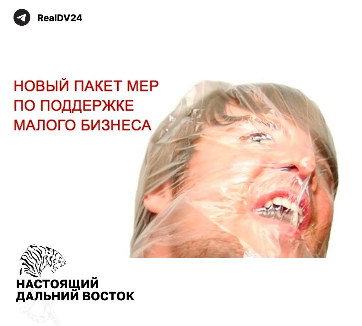 Федеральная налоговая служба направила регионам рекомендации по увеличению поступлений: предложения включают расширение налогообложения недвижимости по кадастру, повышение транспортного налога, пересмотр льгот и ужесточение контроля за землепользованием.