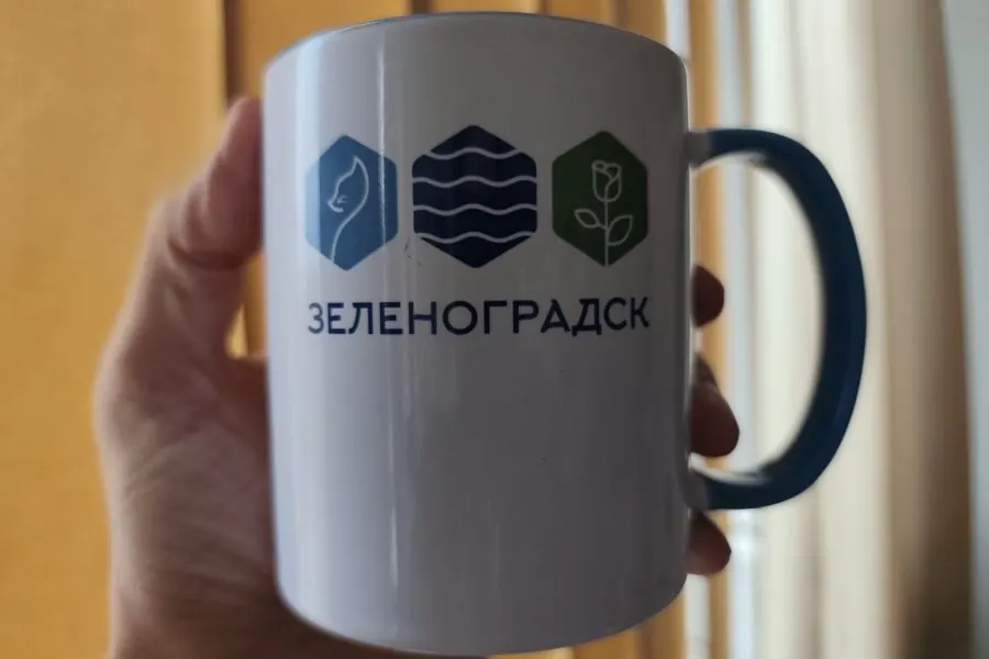 Фирменный стиль Зеленоградска, разработанный студентами БФУ, обнаружили на детской площадке и оформлении аттракциона в Калининграде. Дирекция парка заявила, что подрядчики использовали логотип без согласования и попросит убрать или заменить его.