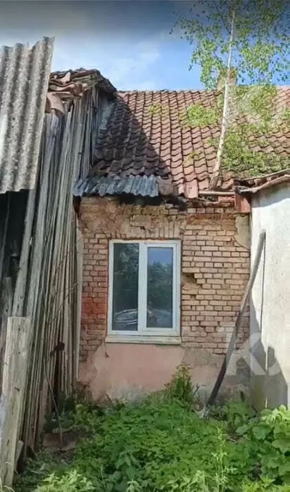 В шестиквартирном доме в Большаково крыша частично провалилась, на ней выросла берёза, а одна женщина живёт в сырости, с плесенью и повреждёнными вещами. Дом признан аварийным, его планируют снести до конца 2026 года.