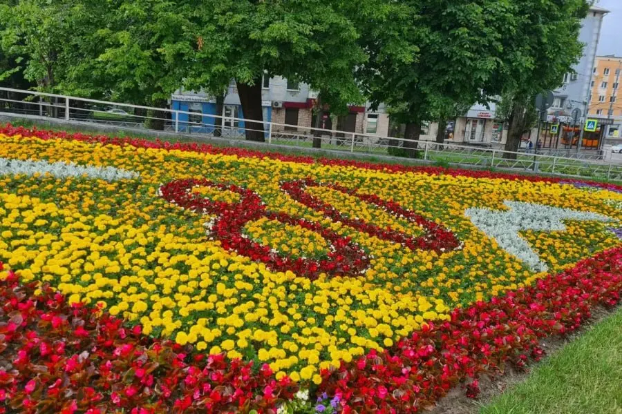 В Калининграде приступили к оформлению городских клумб: на 50 площадках высаживают более семи видов летних растений — от петуний до бальзаминов. Работы идут на центральных проспектах и в городских скверах.