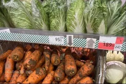 За месяц продуктовая корзина в калининградских сетях подорожала на 92–209 руб. Больше всего выросли цены на овощи и фрукты — особенно заметно подорожали огурцы.