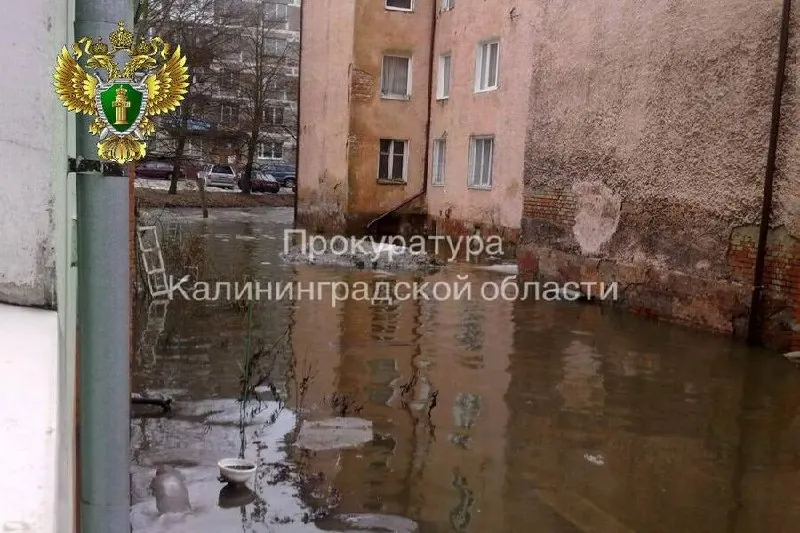 Калининградцам, расселённым по предписанию прокуратуры из дома №47–49 на ул. Клавы Назаровой, вручили ключи от жилья на Борисовском бульваре; некоторые семьи выбрали компенсацию.