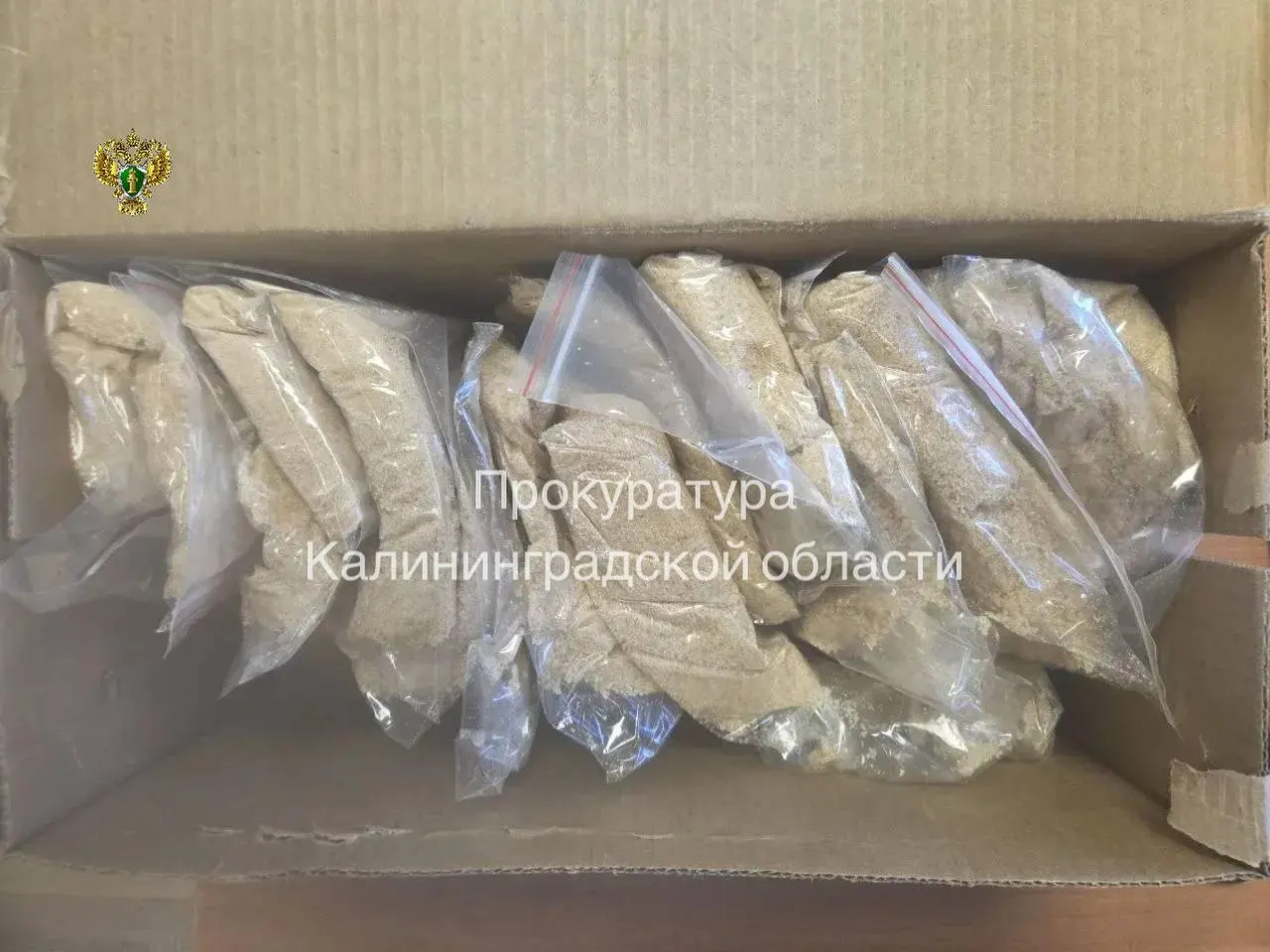 В регионе задержали участницу преступной группы, распространявшую в 2025 году наркотики через тайники‑закладки. В ходе операции изъяли свыше 4,9 кг запрещённых веществ.