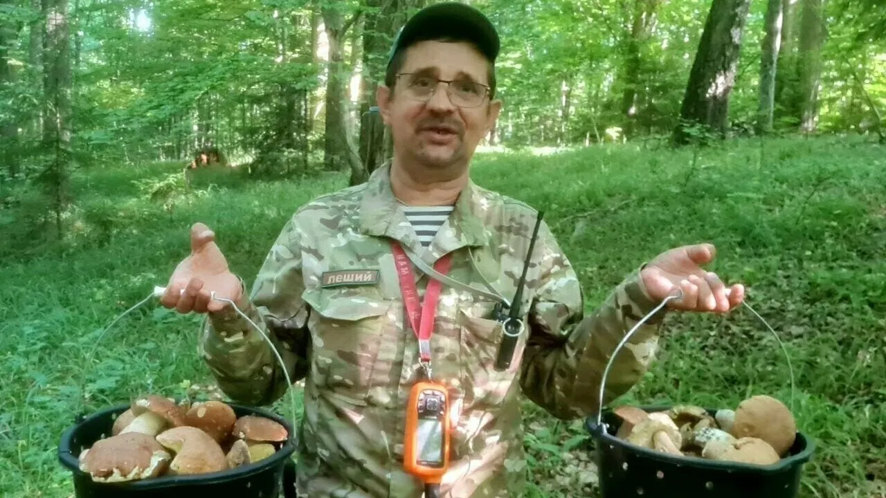 Сезон белых грибов в Гвардейском, Черняховском и Краснознаменском районах открыт, но многие находки оказались заселены личинками. Миколог объясняет, когда грибы всё ещё безопасны и как правильно их хранить.
