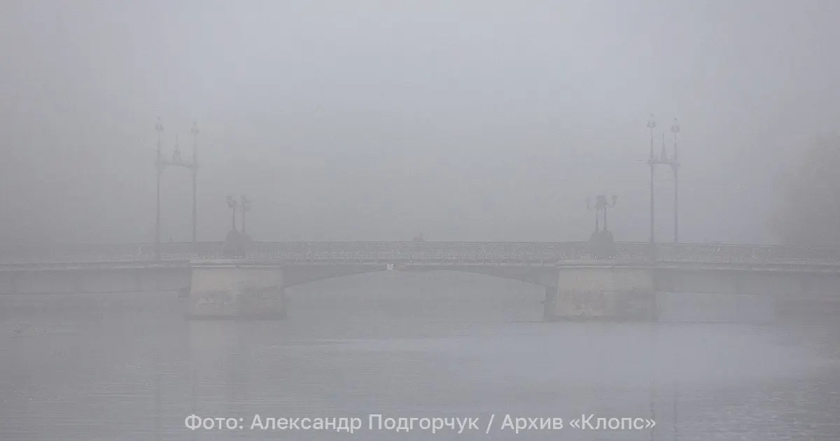 Ночью с 22 на 23 июня в Калининградской области прогнозируют густой туман — на отдельных дорогах видимость может снизиться до 200 метров. Днём температура составит около +20…+25°C, на побережье немного прохладнее.