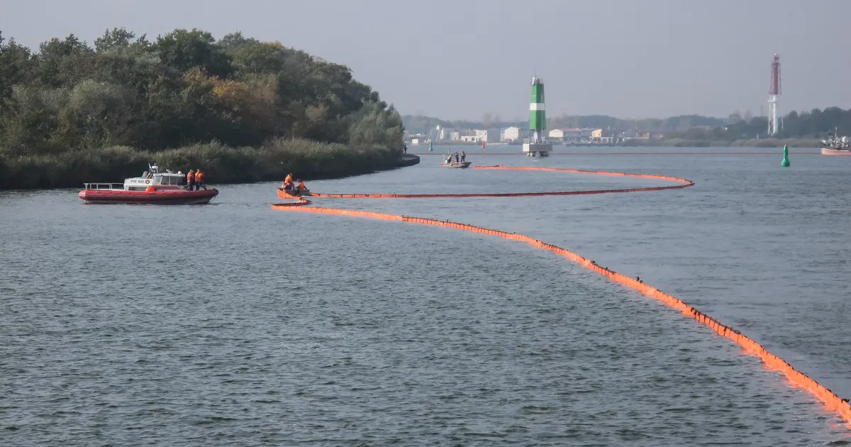Синоптические модели прогнозируют заметное потепление морской воды: после прохладного периода температура у побережья региона может подняться до +16–+18 °C, тогда как сейчас она держится около +14–+15 °C.
