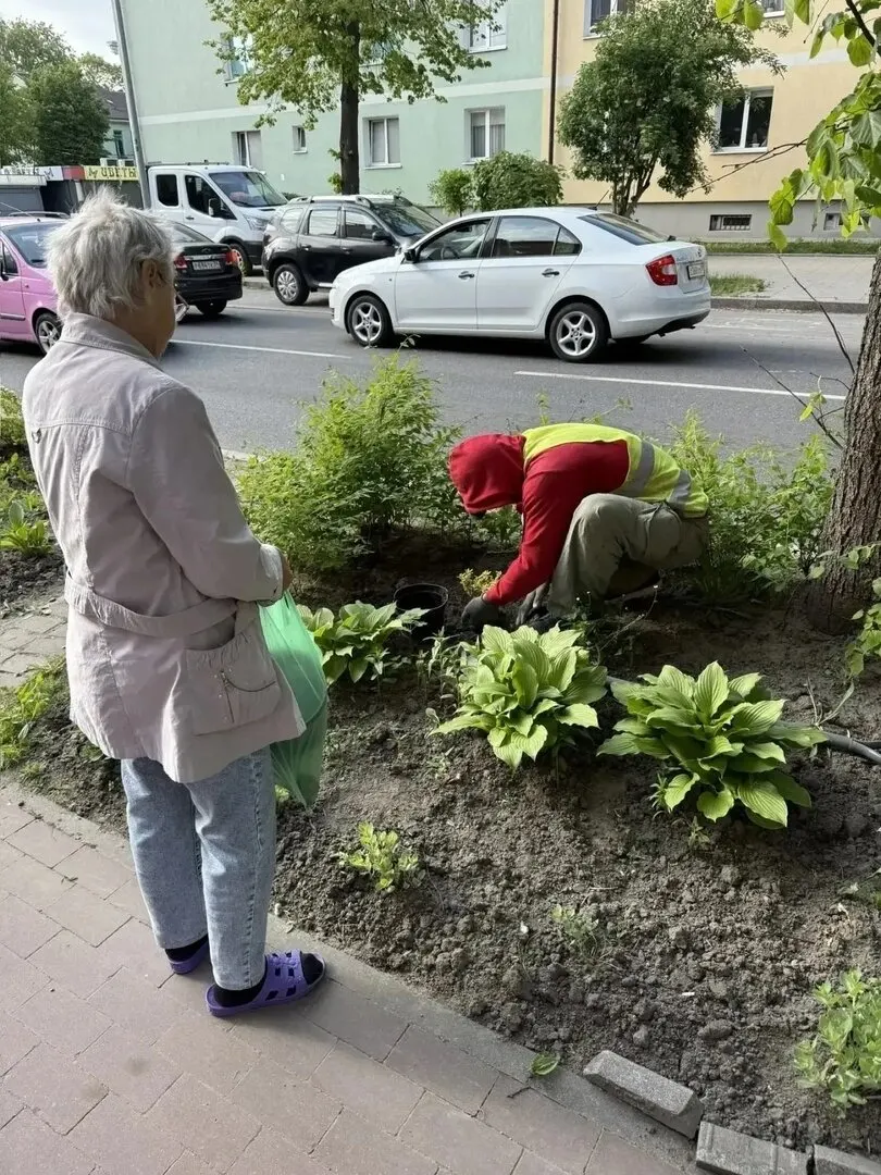 Дорожные работы у дома на Павлика Морозова повредили цветник, за которым женщина ухаживала годами. После жалобы коммунальщики восстановили участок и привезли новые растения.