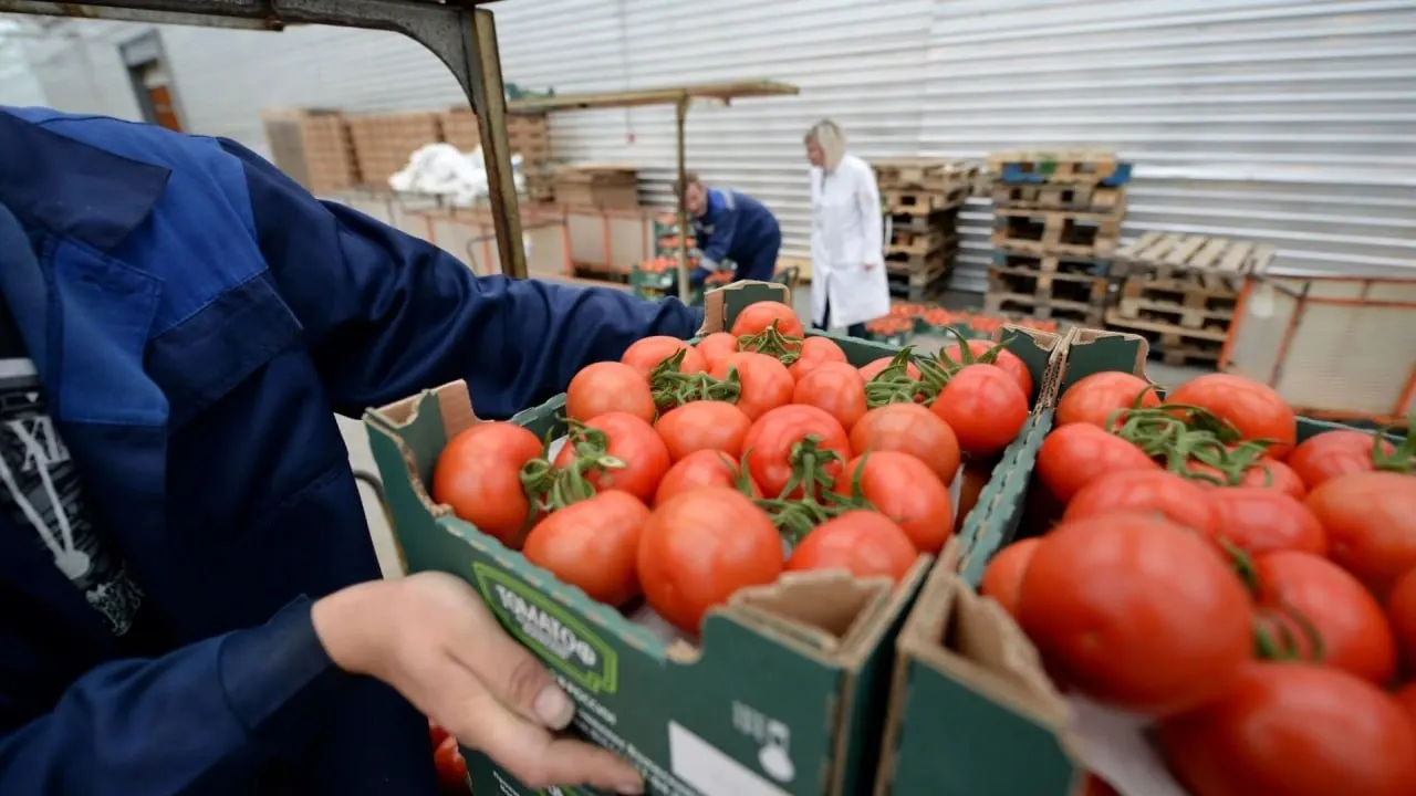 С 12 июня 2026 года временно запрещён ввоз и транзит подкарантинной продукции из Армении после выявления заражённых партий; ограничения будут действовать до выработки механизма контроля безопасности грузов.