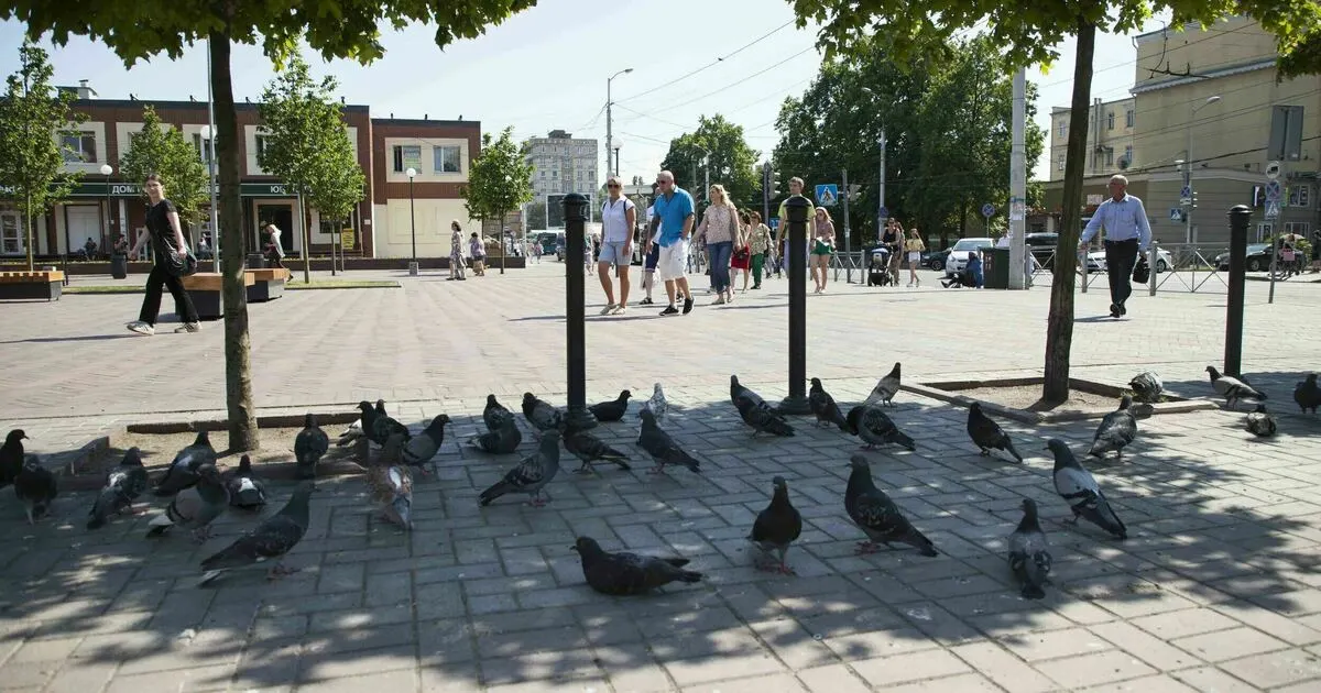 Экстремальная жара продлится до понедельника, затем в регион придёт более прохладный атлантический воздух. Ожидается понижение температур до +18…+24°С, возможны дожди и усиление ветра.