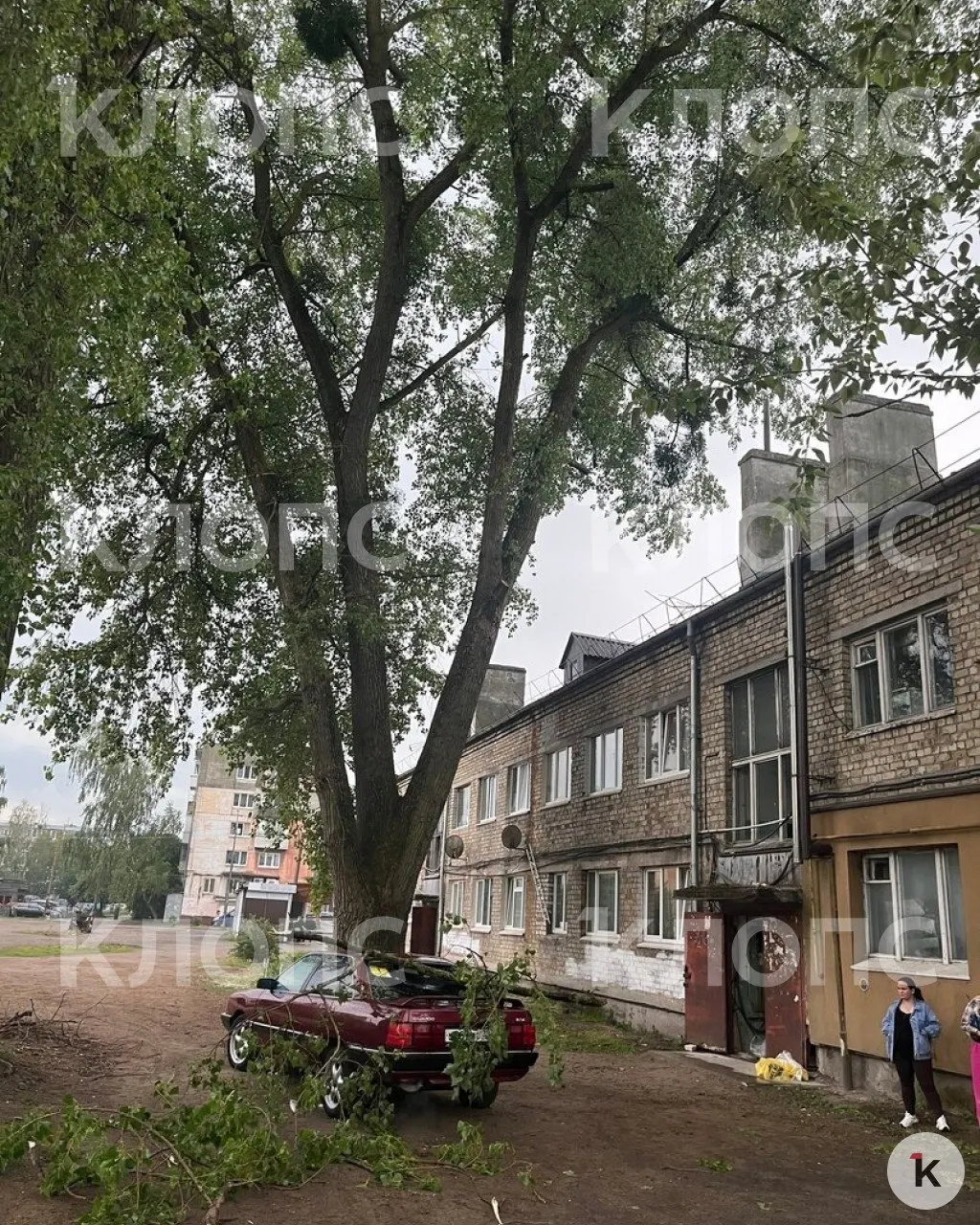 В микрорайоне Александра Космодемьянского на автомобиль упала большая ветка. Местный активист жалуется на брошенные работы по обрезке деревьев и собирается обратиться в прокуратуру.