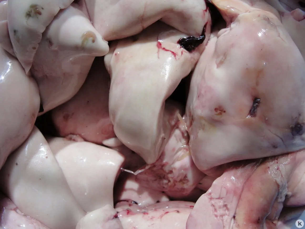 Женщина купила печень трески на ярмарке на Портовой: дома в продукте оказались черви. Продавец вернул деньги, жалобу передали в региональную службу ветеринарии — на ярмарке нет постоянного ветеринарного контроля и лаборатории.