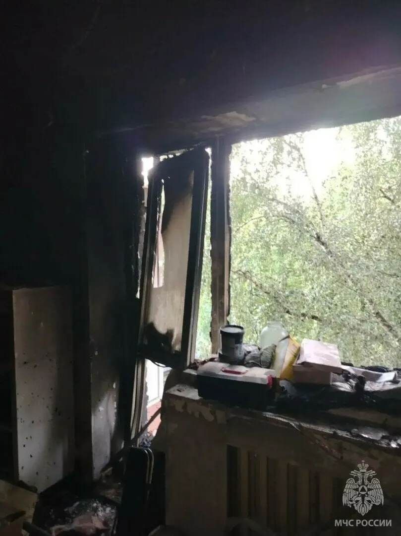 Накануне вечером на третьем этаже дома на улице Емельянова произошёл пожар: выгорели комната и балкон, общая площадь — около 20 м². Из огня вывели двух человек, одного из них госпитализировали с ожогами. Причину устанавливают.