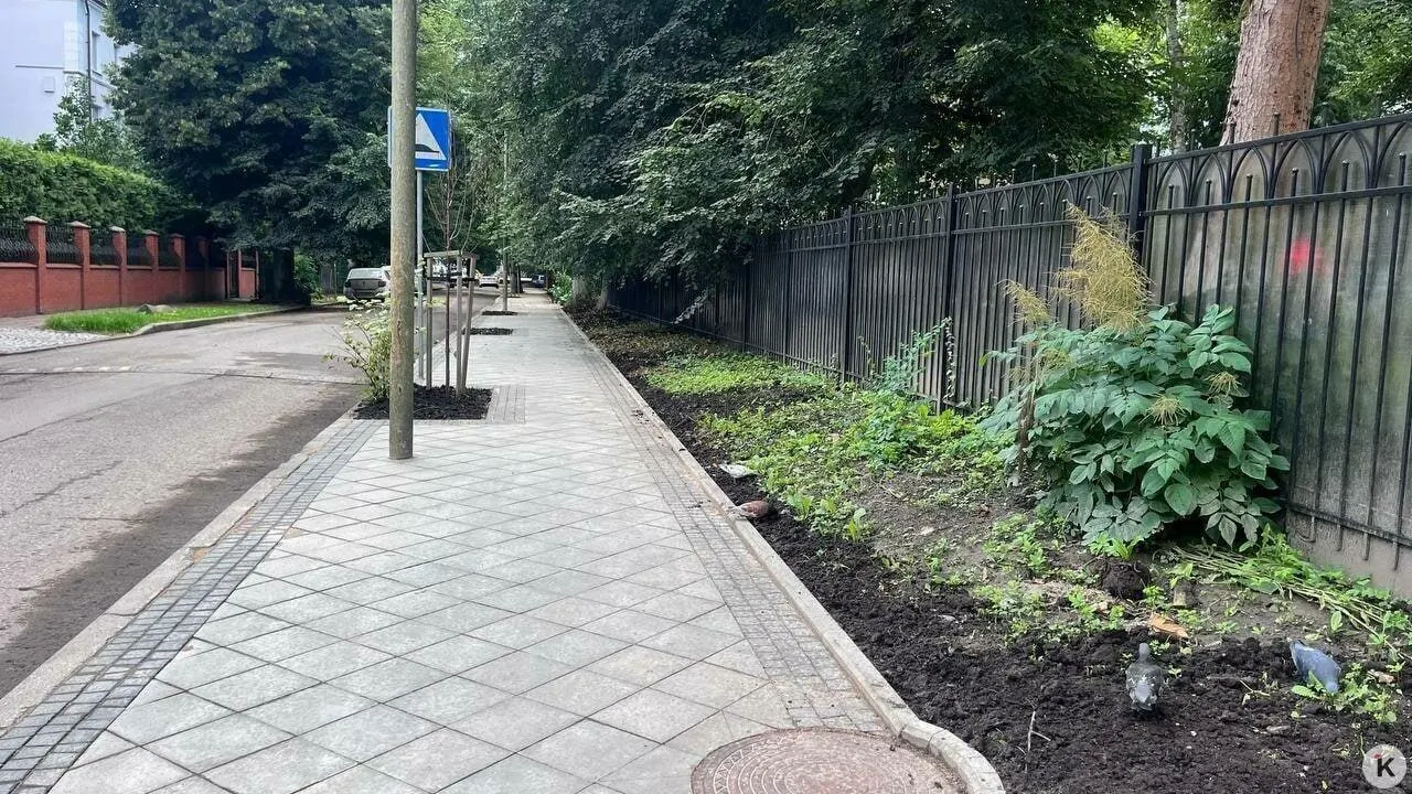 Городские власти требуют через суд вернуть участок у Литовского вала для сноса самовольных построек и организации подхода к детскому саду; пока идут разбирательства, работы начать нельзя.