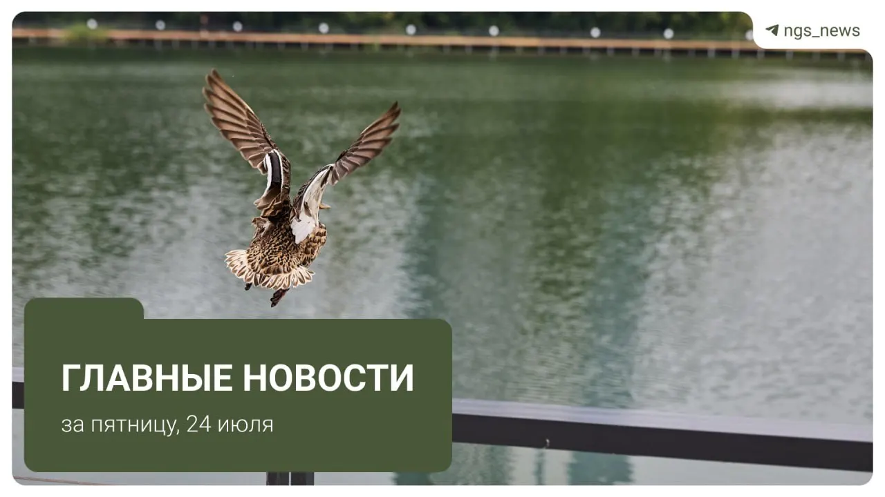 Коротко о ключевых событиях дня: Центробанк снизил ставку, в районах вывезли незаконные павильоны, вынесли приговор по делу о совращении, упростился поиск аренды в Новосибирске и экс-министру избрали домашний арест.