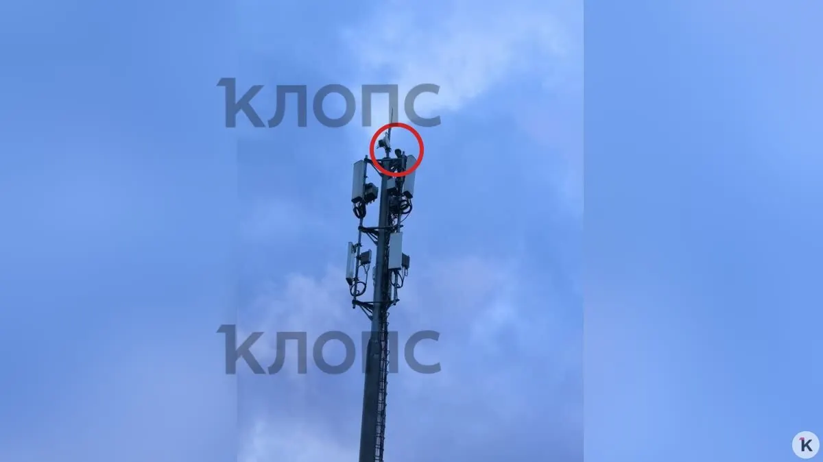 Вечером 5 июля возле дома на Рассветной в Сельме заметили подростка на вышке сотовой связи. Очевидец вызвал 112, обращение передали участковому. Жители выражают обеспокоенность опасными «адреналинными» развлечениями молодёжи.