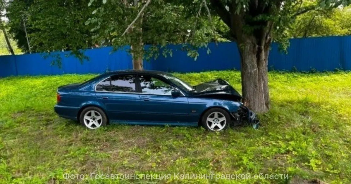 На трассе в районе Балтийска BMW при попытке обгона столкнулась с придорожным деревом. Водитель и пассажир доставлены в больницу, обстоятельства ДТП выясняют.