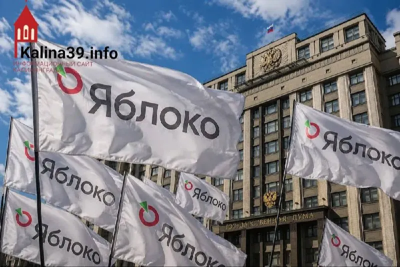 ЦИК утвердил федеральный список партии «Яблоко». Лидер партии призвал голосовать за мир и свободу. Кандидаты от Калининградской области уже были опубликованы ранее.