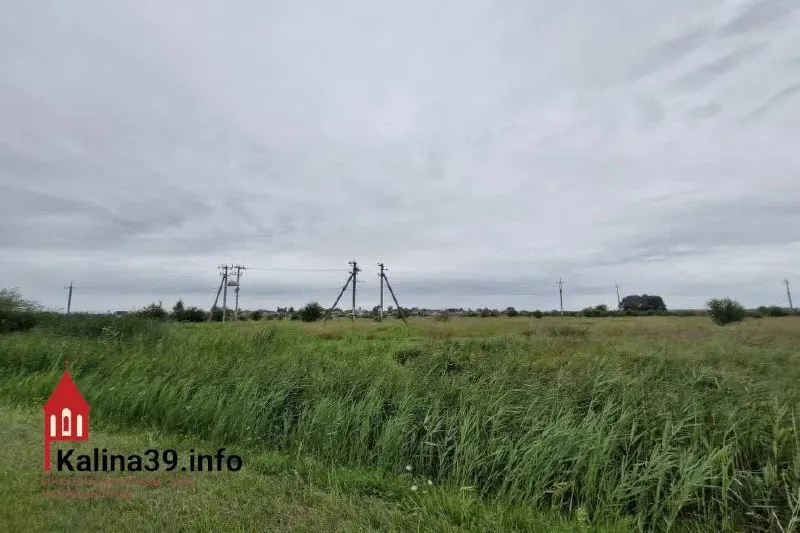 В Гурьевском районе рядом с посёлками Малое Васильково и Невское почти два гектара сельхозземель официально переквалифицировали в земли промышленного назначения — на месте планируют базу по обработке природного камня.