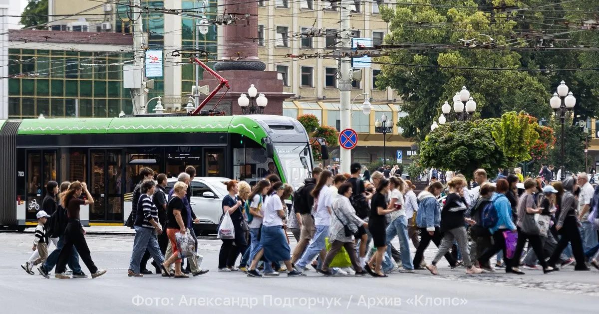 В центре Калининграда из‑за порыва контактного провода прекращено движение трамваев: часть вагонов перенаправлена по Ленинскому проспекту и ул. Шевченко, маршруты «3» и «5» временно не ходят по ул. 9 Апреля и ул. Черняховского.