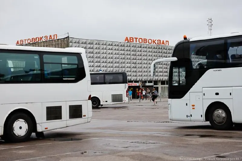 С 30 июля меняется схема движения рейсовых автобусов в связи с началом активной фазы капитального ремонта дороги «Донское—Синявино—Янтарный». Публикуем обновлённое расписание и стыковки.