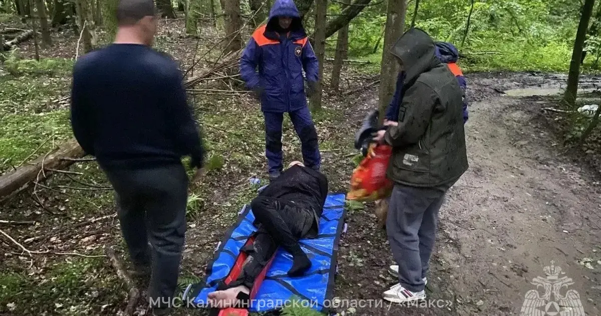 Мужчина поскользнулся и сломал ногу в лесу рядом с посёлком Логвино. Спасатели прошли около 1,5 км с носилками, чтобы вынести его к месту, где могла подойти помощь.