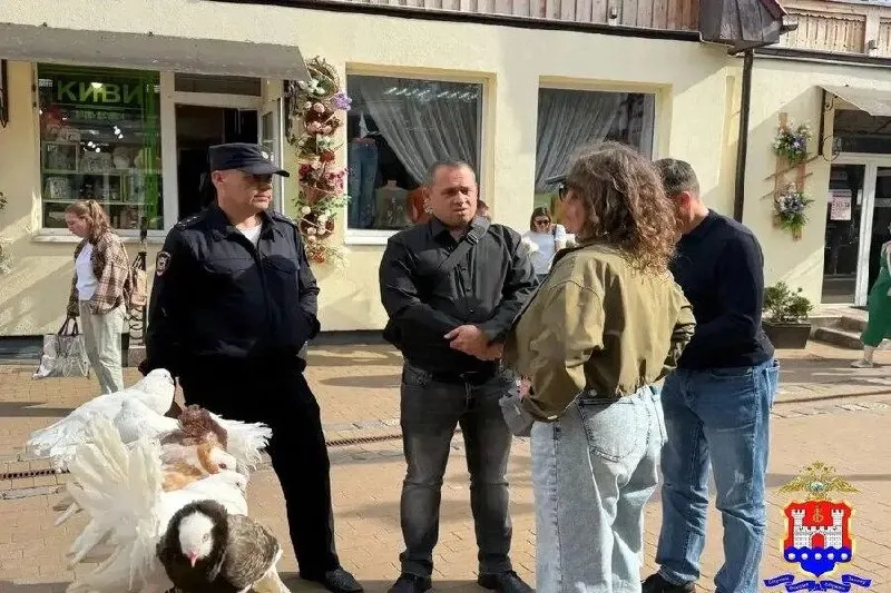 Полиция пресекла незаконную предпринимательскую деятельность: птиц передали зоозащитникам, на женщину составили административный протокол по ст. 14.1 КоАП РФ.