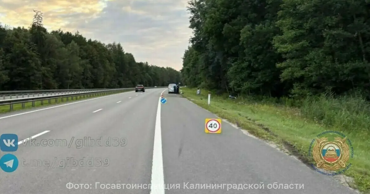 На 44-м километре трассы при обгоне водитель BMW резко затормозил, в результате Renault съехал в кювет и врезался в дерево — женщина-водитель госпитализирована, виновник объявлен в розыск.