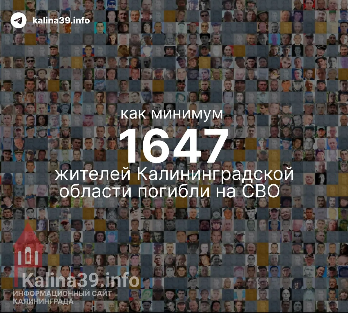 Минобороны и региональные власти не публикуют точной статистики. Независимые подсчёты фиксируют не менее 1 639–1 647 погибших из Калининградской области.