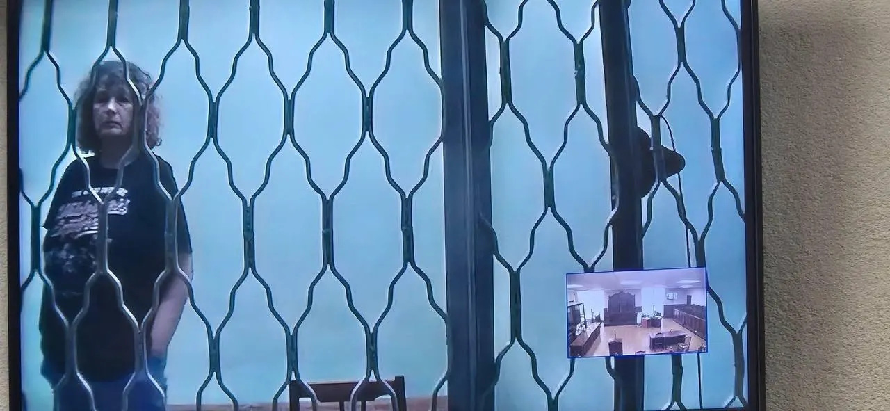 Коллеги адвокатки Марии Бонцлер подготовили аудиоспектакль по повести «Юбилей в наручниках», написанной в заключении. Авторы проекта отмечают, что хотели сохранить текст как «документ времени» и привлечь внимание к её судьбе.