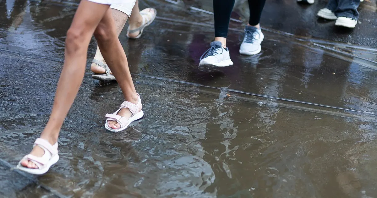 После сухого воскресенья с температурой до +23 °C в регион вернутся затяжные дожди — к середине недели в некоторых местах прогнозируют 40–80 мм осадков и усиление ветра.