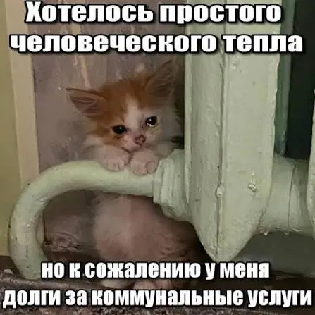 Верховный суд указал, что срок исковой давности по взносам на капитальный ремонт (3 года) препятствует отражению и принудительному взысканию старых задолженностей в платежках.