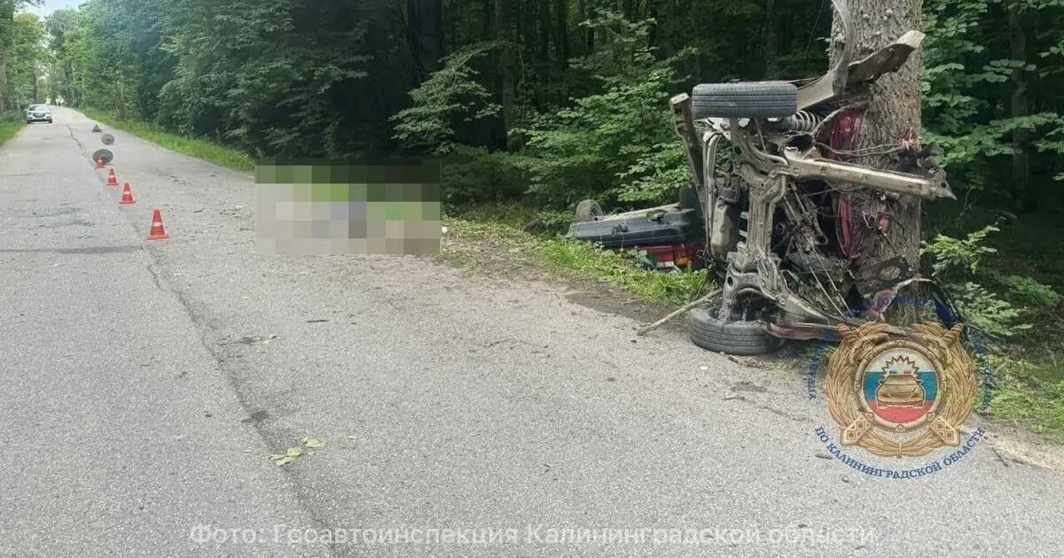 В ДТП в Гвардейском районе автомобиль врезался в дерево и разломился; одна женщина погибла на месте, трое получили травмы. На месте работают экстренные службы, обстоятельства устанавливаются.