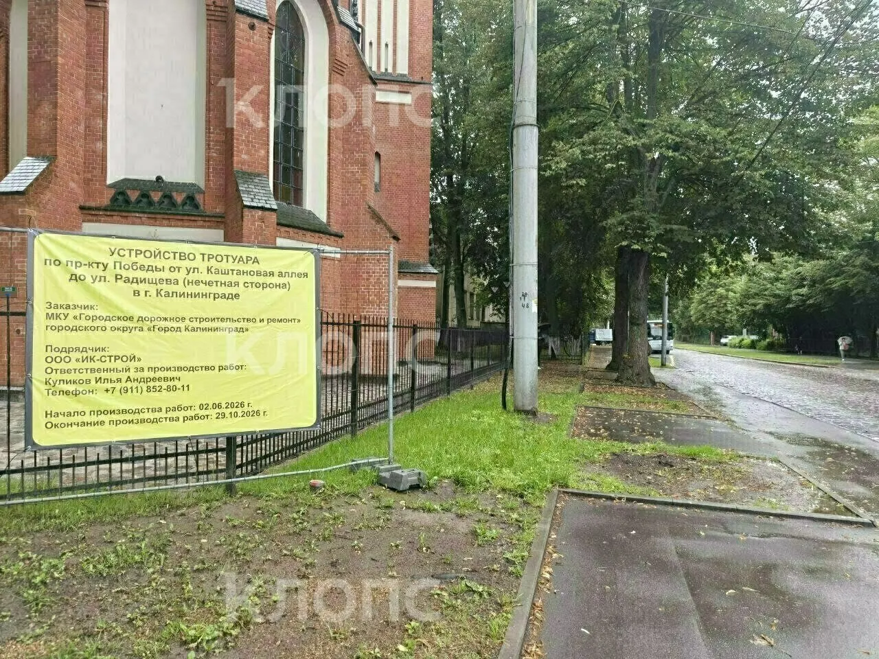 Ремонт тротуара на участке от Радищева до Каштановой аллеи вызвал у калининградцев тревогу: местные боятся за корни и ветви крупных деревьев.