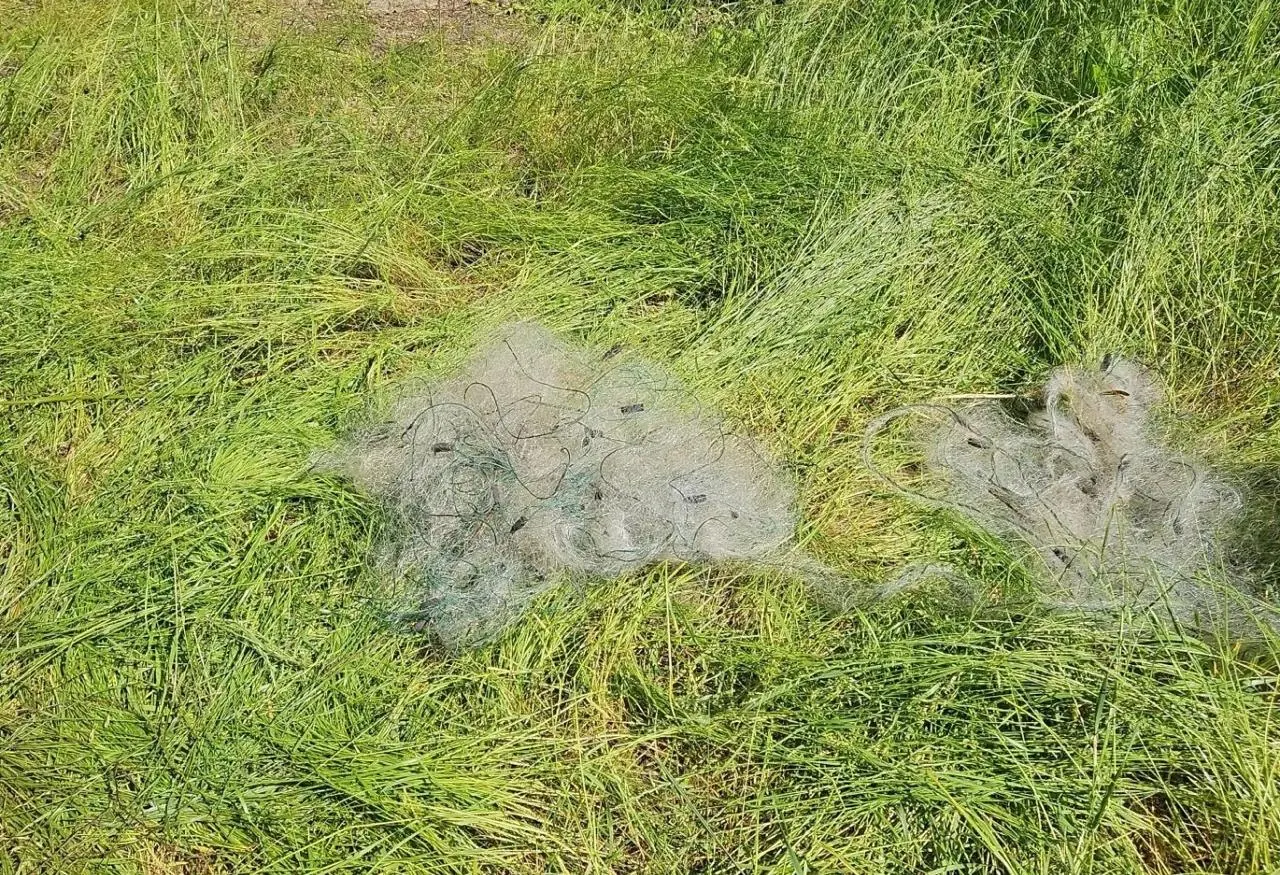 Инспекторы задержали 54‑летнего жителя Вознесенского района у Никольского озера: у него изъяли сети и 25 особей рыбы. Рассматривают вопрос о возбуждении уголовного дела по статье 256 УК РФ.