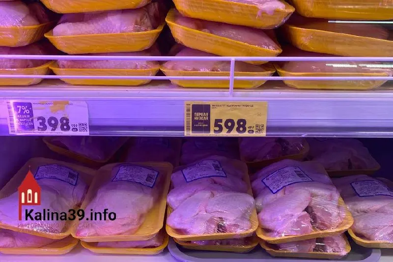 За месяц в регионе корзина продуктов подорожала во всех крупных сетях; рост достиг более 200 рублей: максимальный — в Виктория, а самая дорогая корзина — в Пятёрочка.