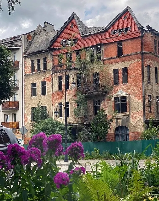 Свежие новости региона: освобождение экс-главы Балтийска из-под стражи, дефицит бензина и новые торговые планы региона.