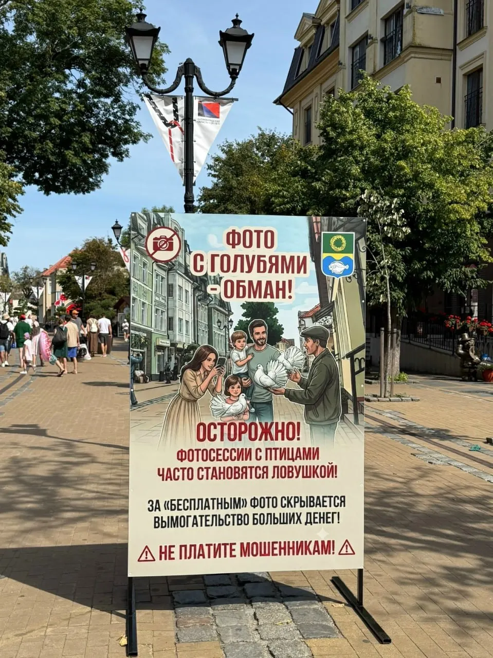На Курортном проспекте и променаде Зеленоградска размещены баннеры с предупреждением: фото с голубями может оказаться ловушкой, за кадр часто требуют крупную сумму. Власти призывают туристов не попадаться на уловки мошенников.