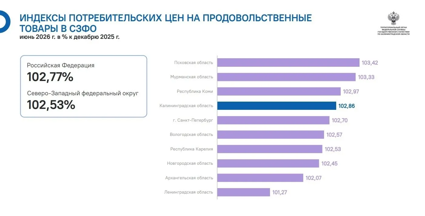 Июнь 2026 года показал более быстрый рост цен на продовольствие в регионе по сравнению с Россией и Северо‑Западным округом.