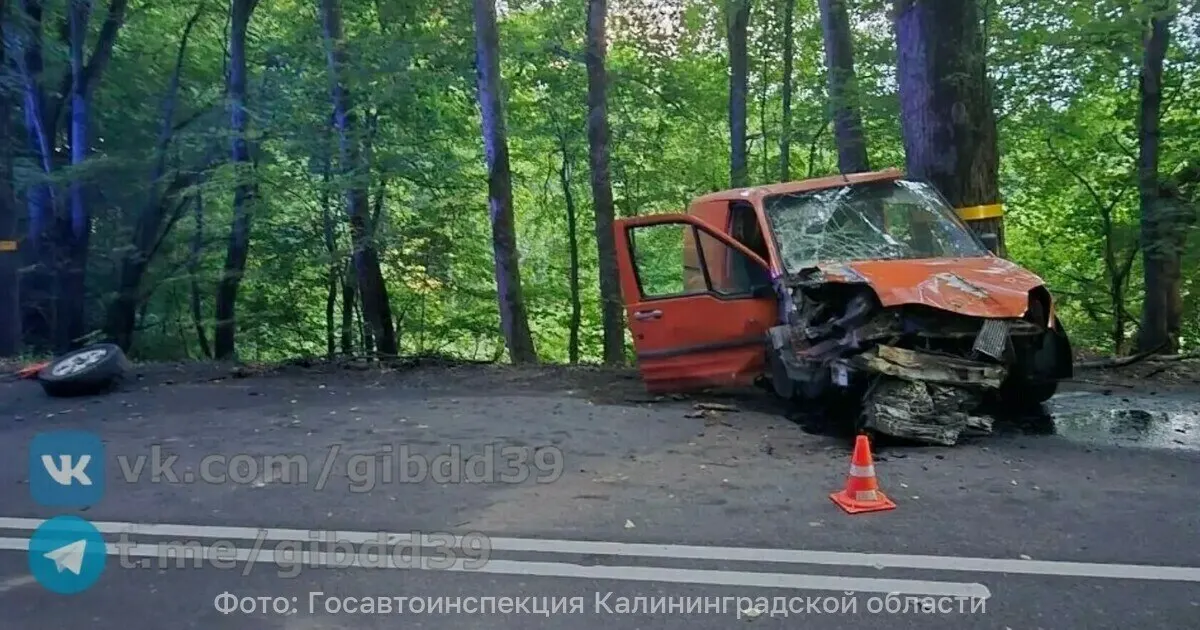 70-летний водитель Ford погиб после того, как не справился с управлением и врезался в дерево на трассе Шатрово — Логвино — Кремнево. Устанавливаются обстоятельства аварии.