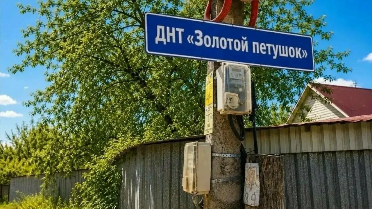 В Калининградской области ДНТ «Золотой петушок» задолжало за электроэнергию почти 18 млн рублей. В отношении товарищества введена процедура банкротства; временный управляющий проведёт анализ финансового состояния и сделок с имуществом общего пользования.