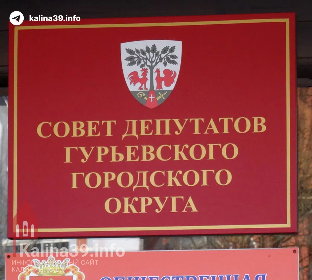 Семь кандидатов от ЕР задекларировали доходы за прошлый год в диапазоне 40–76 млн рублей; наибольший доход — 76,1 млн рублей у Ильи Оноприенко.